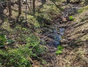 HC Conservancy Stream