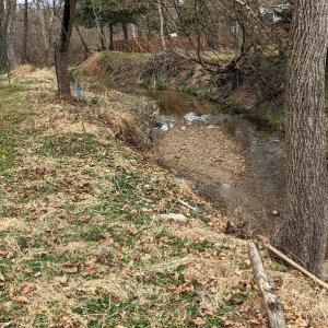 Kings Contrivance Stream